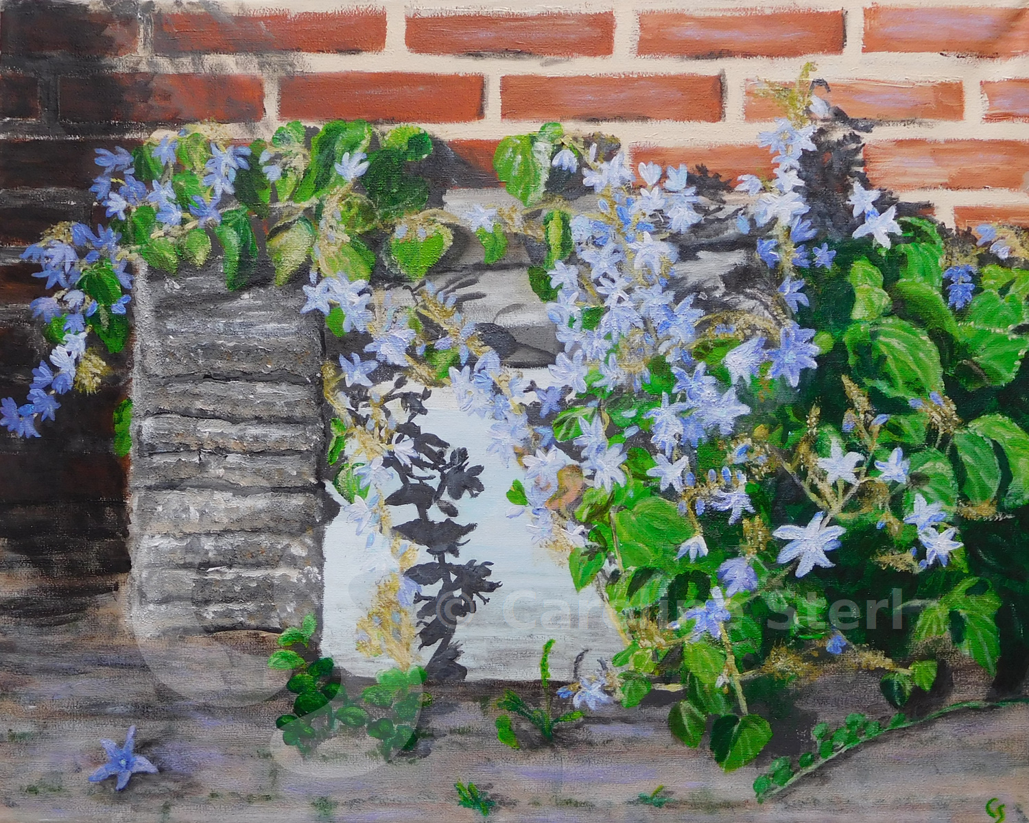 Painting: Wild Flowers in my Backyard